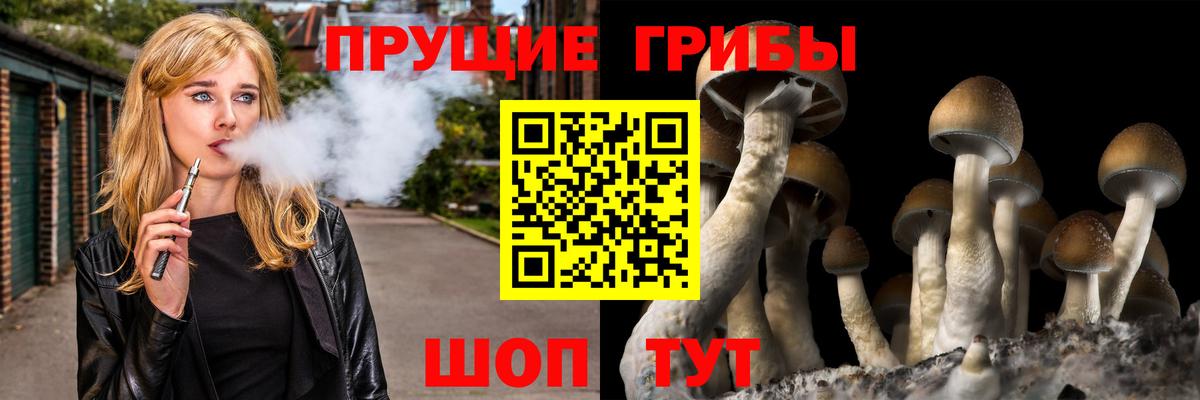 Канаш  Псилоцибиновые грибы мухоморы  Вход с VPN 