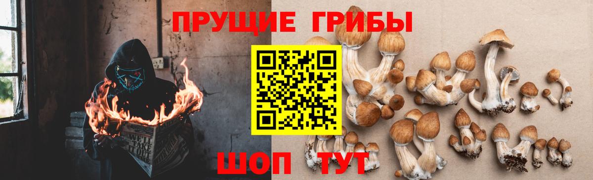 Галлюциногенные грибы прущие грибы Канаш